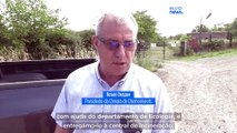 Carcaças de vacas dão à costa na Bulgária e levantam suspeitas sobre Ucrânia