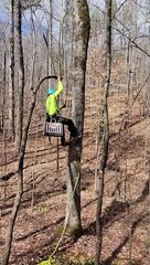 Tree Climber Rescues Cat