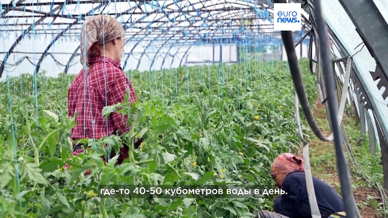 Прорыв Каховсой дамбы: в украинских селах пытаются справиться с нехваткой воды