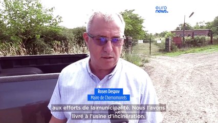 En Bulgarie, le mystère des vaches mortes sur les plages