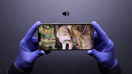 iPhone 14 Plus Yellow Unboxing and Camera Test!