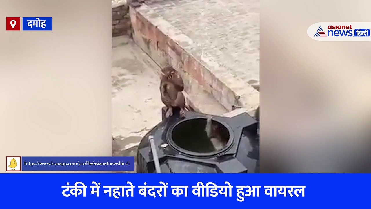 भीषण गर्मी में बंदरों ने पानी की टंकी को बना दिया स्विमिंग पूल, नहाते समय जमकर मचाई उछल-कूद, देखें Video