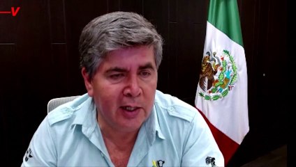 Experts Blame El Niño for Mass Bird Die Off On Mexico Coast