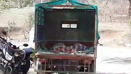 सागर: करंट लगने से दो युवकों की दर्दनाक मौत, गांव में पसरा मातम