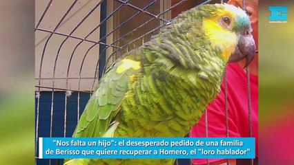 El desesperado pedido de una familia de Berisso que quiere recuperar a Homero