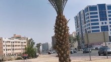 VID_20230614_145731