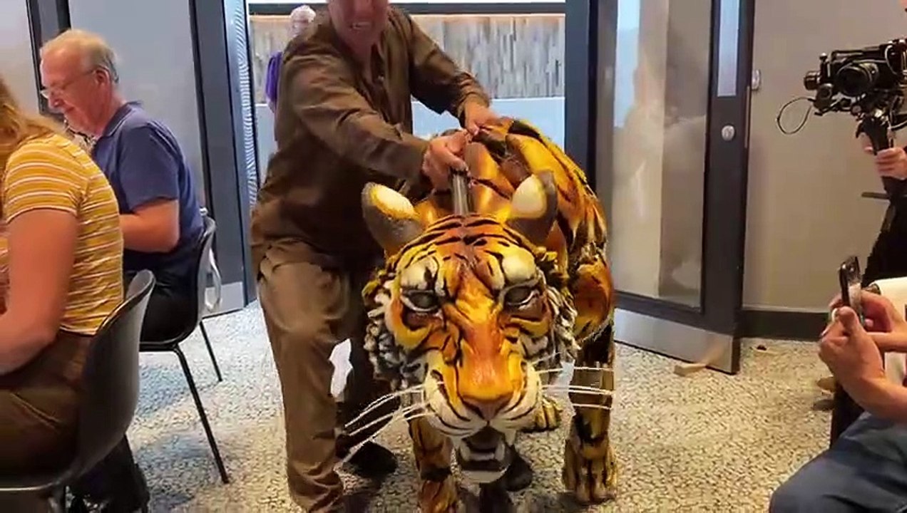 I met the life of Pi tiger puppet and it was so realistic it made my