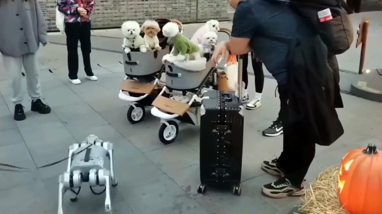 Curiosidade - Cachorros robóticos