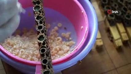 Beyaz altın: Kilosu 15 bin lira!