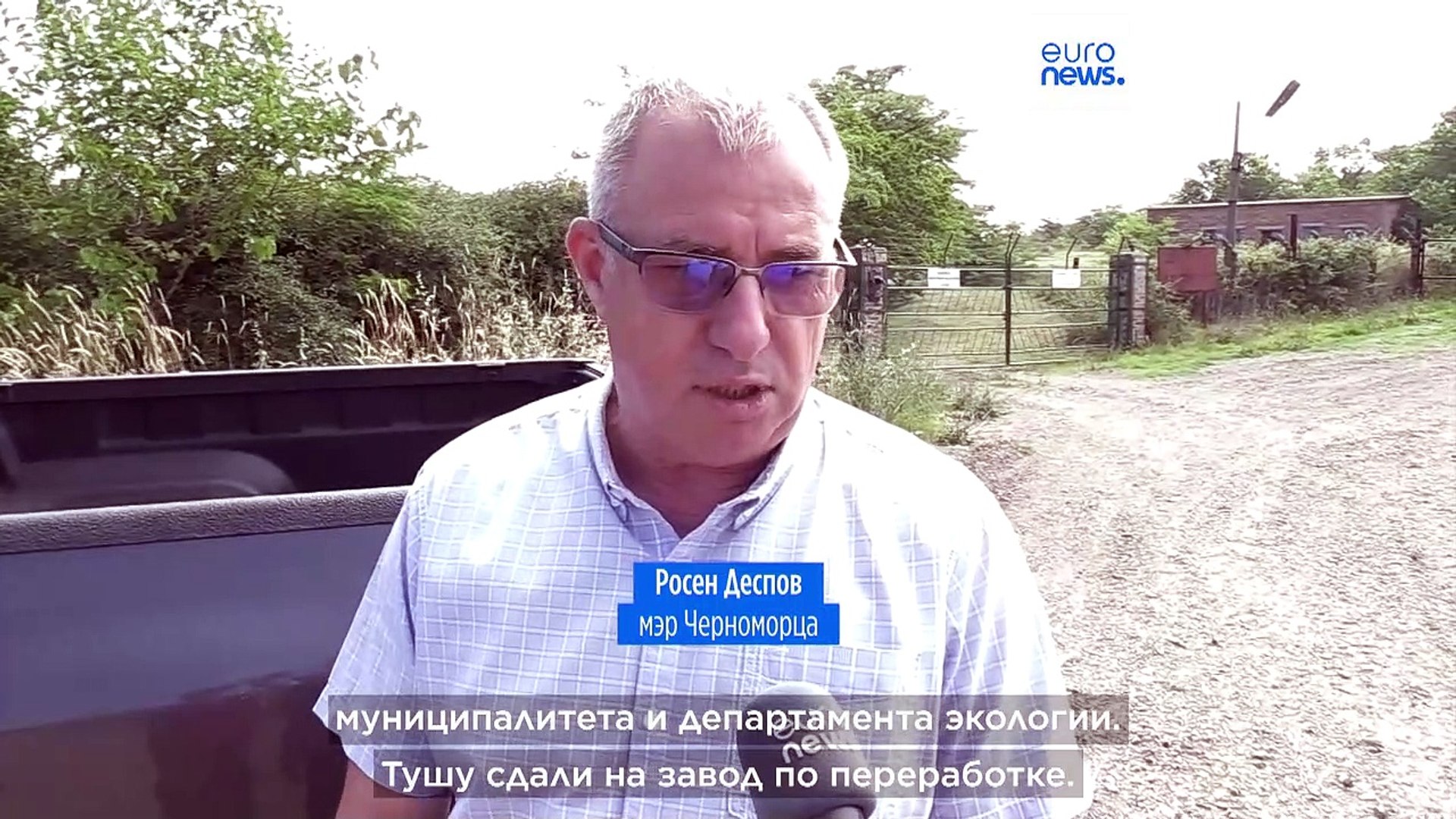 ⁣На черноморское побережье Болгарии выбросило туши коров