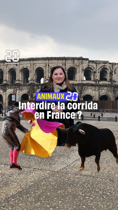 Animaux 2.0 : Faut-il une interdiction de la corrida en France ?