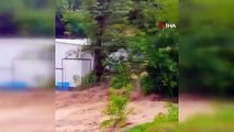 Gürcistan'da şiddetli yağış: Evleri ve bahçeleri sular bastı, araçlar hasar gördü