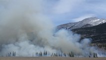 Incendios forestales de Canadá son más voraces Alex Godoy experto del panel intergubernamental de la ONU