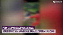 Pria Lempar Anjing ke Rawa Berisi Buaya di Nunukan, Pelaku Diperiksa Polisi