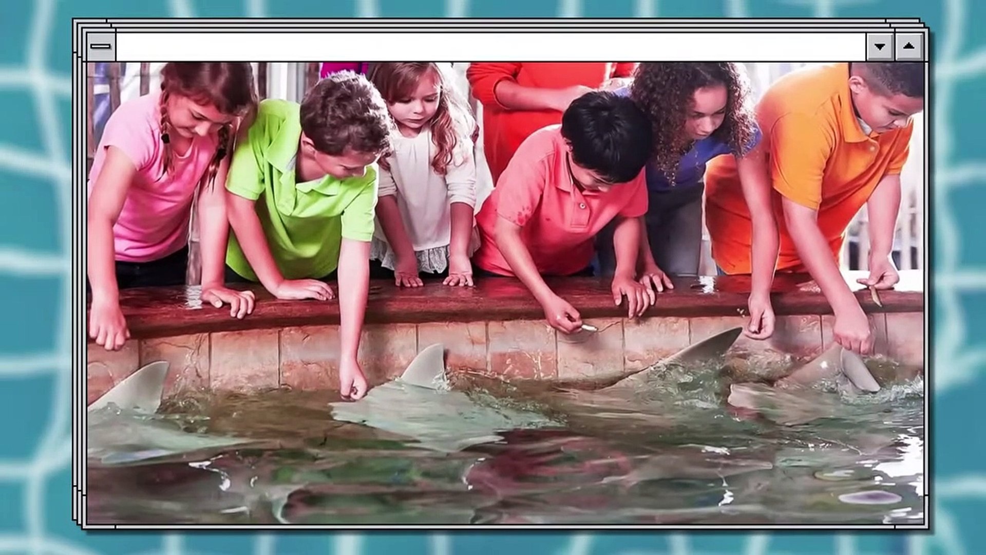 ⁣Wild Animals Caught Behaving Like Pets