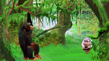 Why Do Animals Hate Albinos