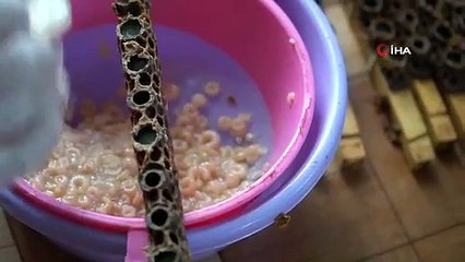 La gelée royale "White Gold" est vendue pour 15 000 lires