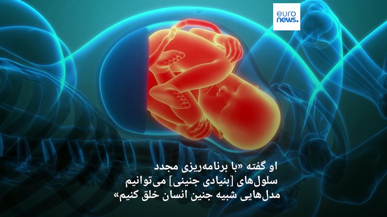 دستاورد تازه دانشمندان: خلق جنین انسان بدون نیاز به اسپرم و تخمک