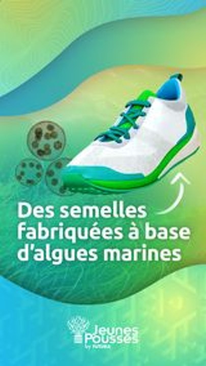 Faites un pas vers l'éco-responsabilité avec les semelles Bloom Foam à base d'algues !