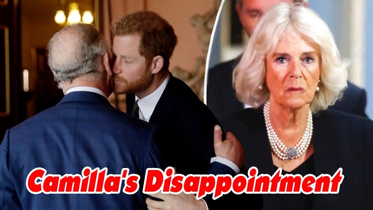Harry’s attack on Camilla sinks reconciliation with King Charles