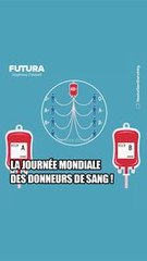 Journée mondiale des donneurs du sang : quel type de donneur êtes vous ?