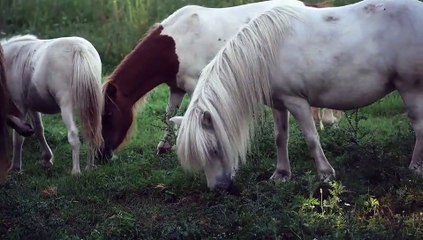 The Future of Music: Top 10 Artists to Watch Out for in 2023