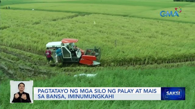 Pagtatayo ng mga silo ng palay at mais sa bansa, iminumungkahi | Saksi