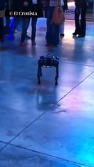 Así es el nuevo "perro robot"