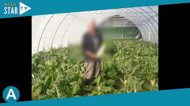 L'amour est dans le pré : Mort d'un agriculteur dans de terribles circonstances, une autopsie demand