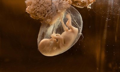 العلماء يتجهون لخلق أجنة بشرية من دون الحاجة الى الانسان