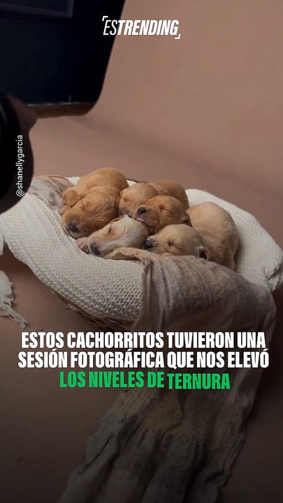 La más tierna sesión de fotos