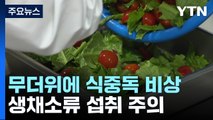 본격적인 폭염에 식중독 비상...생채소류 섭취 주의 / YTN