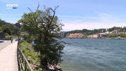 Moradores de Gaia estão contra o novo terminal fluvial do Cais do Cavaco
