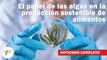 El papel de las algas en la producción sostenible de alimentos | 561 | 19 al 25 de junio 2023