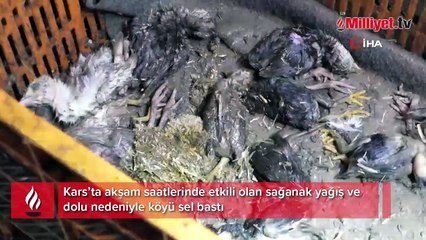 Kars’ı sağanak vurdu! 10 ev selden zarar gördü