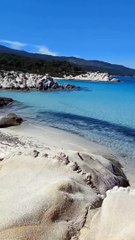 Mallorca 2023 Travel Spain