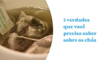 5 verdades que você precisa saber sobre os chás