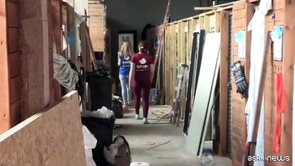 Ucraina, cani e gatti salvati dall'alluvione trovano una nuova casa