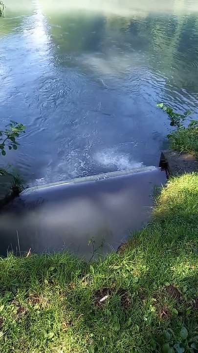 Parc du château de Vizille   Musée de la Révolution française Domaine de Vizille #vizille #france  (19)