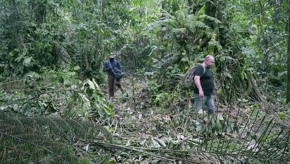 Paradis Perdu Bande-annonce (EN)