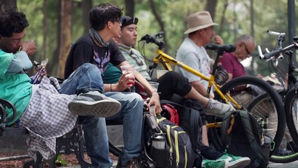 Altas temperaturas y muerte masiva de aves en México con fenómeno de El Niño