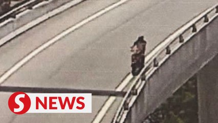 Motorcyclist behind fatal SUKE crash surrenders to cops