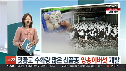 맛좋고 수확량 많은 신품종 양송이버섯 개발