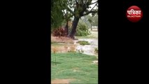 cyclone biparjoy live Update: राजस्थान में बिपरजाॅय की मारवाड़ में धमाकेदार एंट्री, रानीवाड़ा में 110 एमएम बरसात