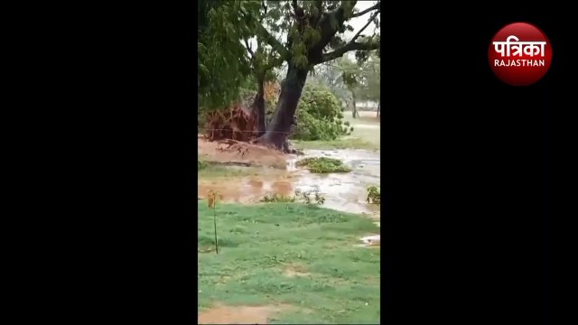 cyclone biparjoy live Update: राजस्थान में बिपरजाॅय की मारवाड़ में धमाकेदार एंट्री, रानीवाड़ा में 110 एमएम बरसात