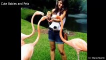 Funny Animals Scarring And Chasing People 2023 Compilation