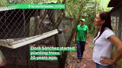 Meet the cattle breeders-turned-conservationists protecting Colombia's Amazon wildlife