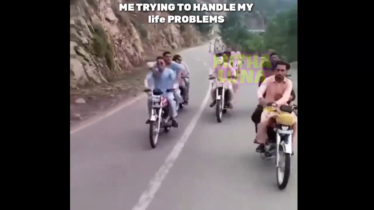 Best memes Collection 