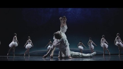 새롭게 해석한 불멸의 고전...프렐조카쥬 '백조의 호수' / YTN