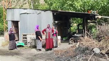 Erzurum'da Geleneksel Dut Pekmezi Yapımı Başladı